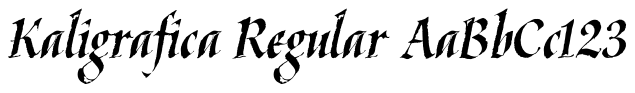 Kaligrafica, Kaligraf